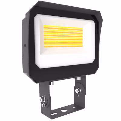 LED Flood Light
